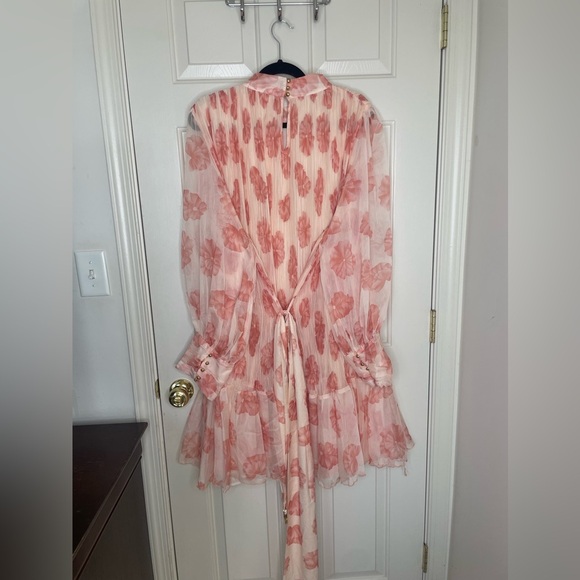 Sante Grace Pink Floral Sheer Pleated Ruffle Mini Dress Size 4X - Picture 5 of 11